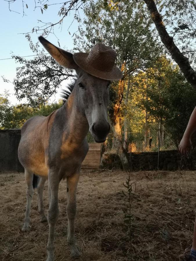 A Maquia Do Pousavedra Sober Zewnętrze zdjęcie